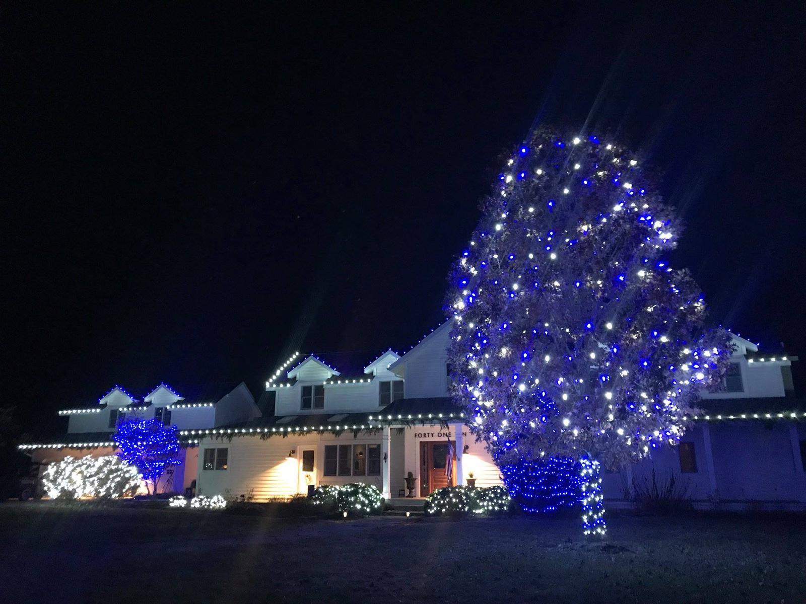 commercial christmas lights